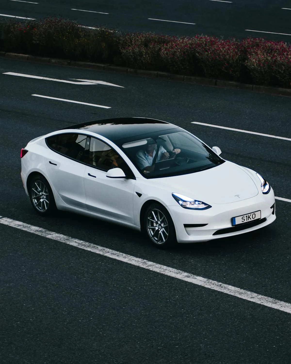 Tesla Model 3 blanco en la carretera